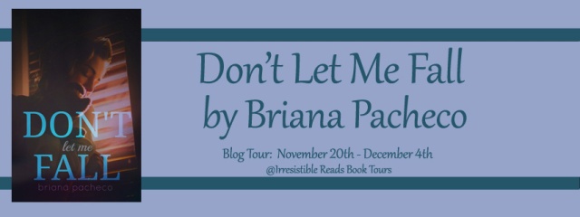Banner - Don't Let Me Fall by Briana Pacheco 1